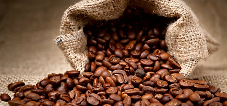 Instructivo para regular las licencias automáticas y no automáticas de las importaciones de Café, cafe