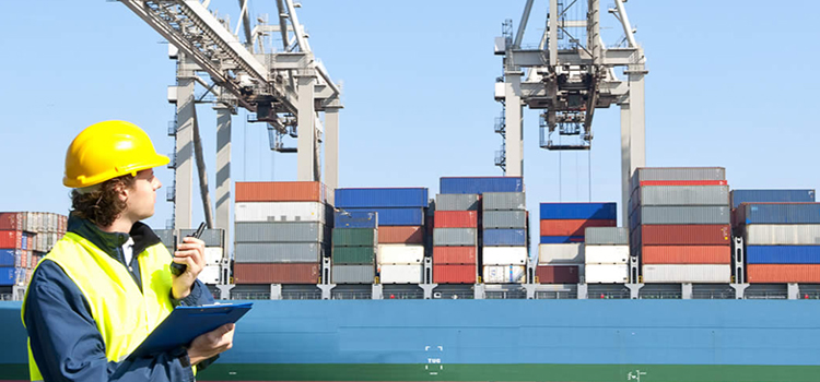 Servicios Integrales para Exportaciones